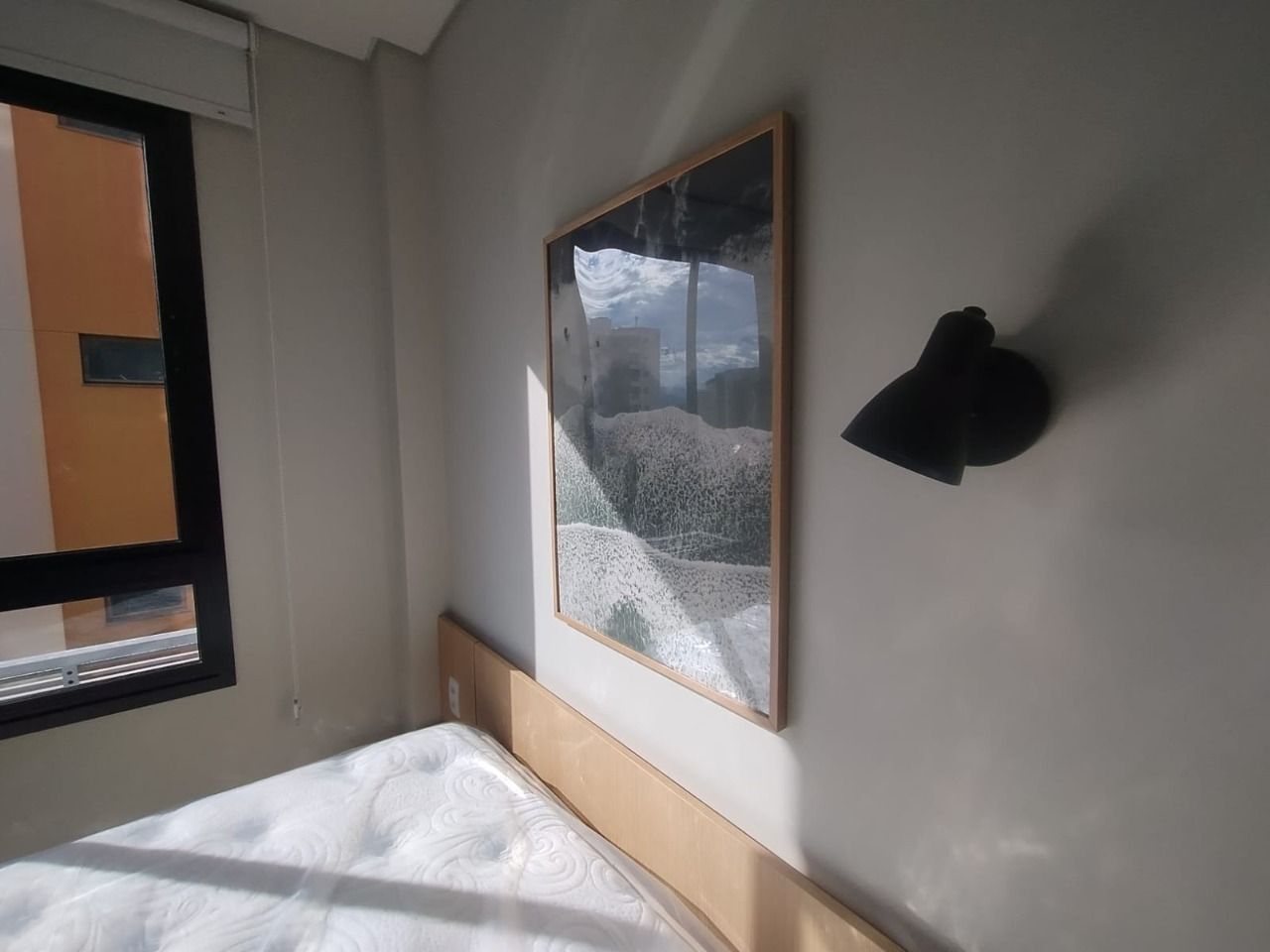 studio - foto 2