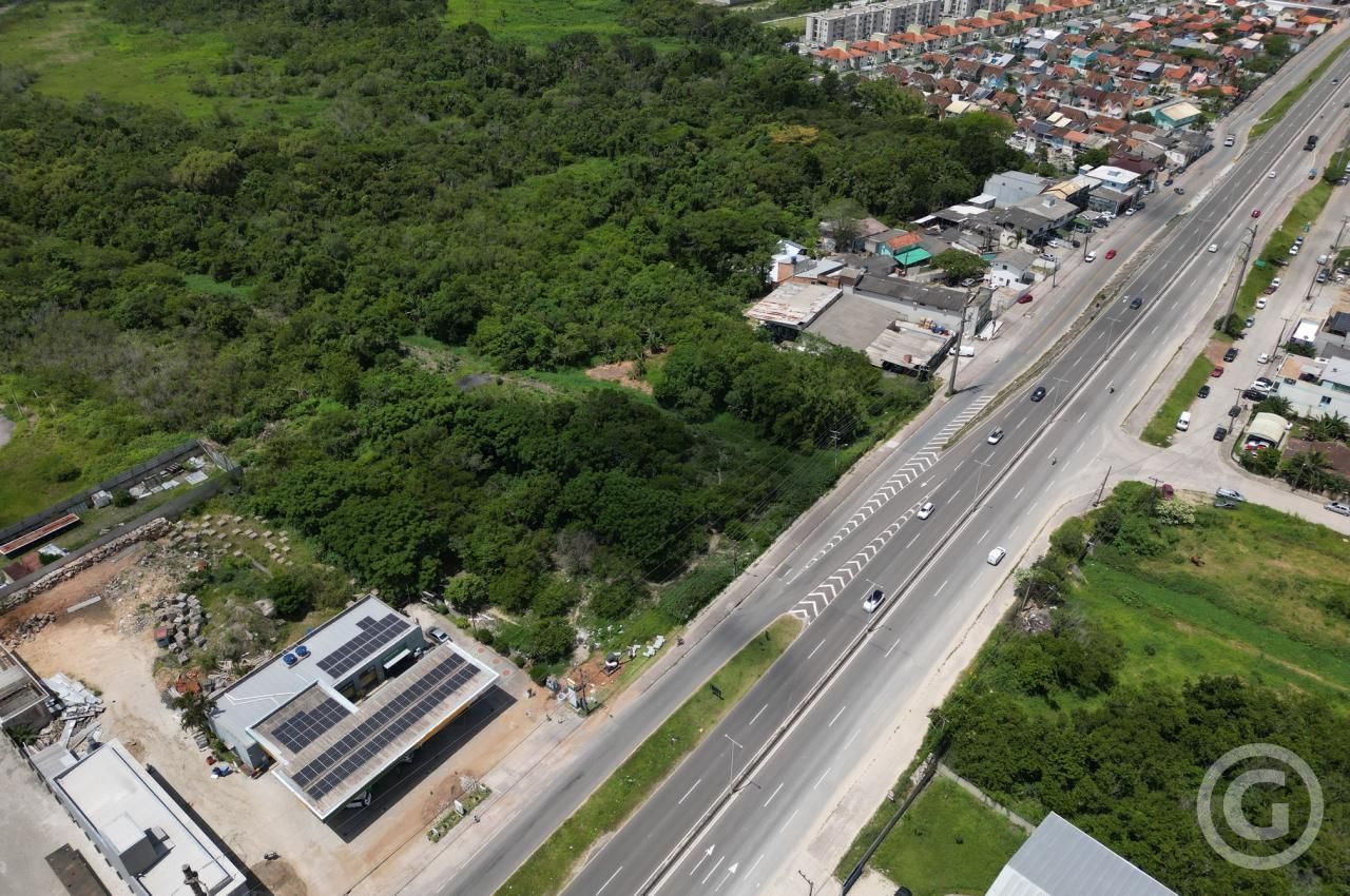 Imóvel - foto 4