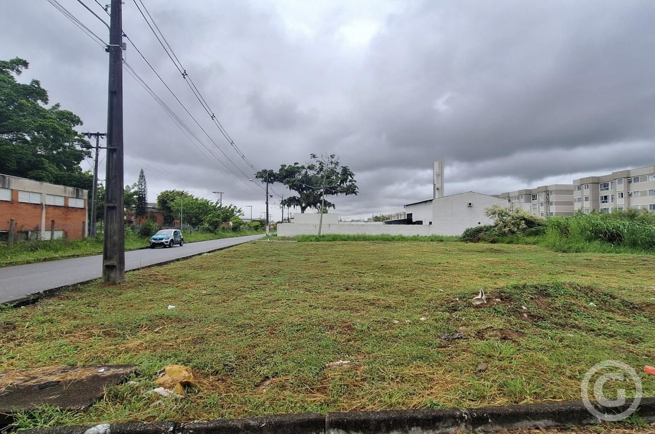 Imóvel - foto 3