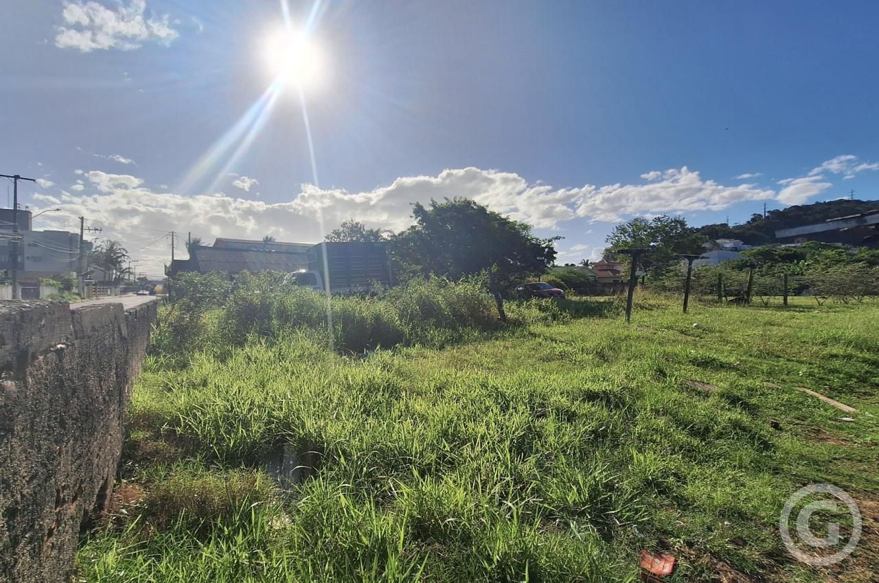 Imóvel - foto 3