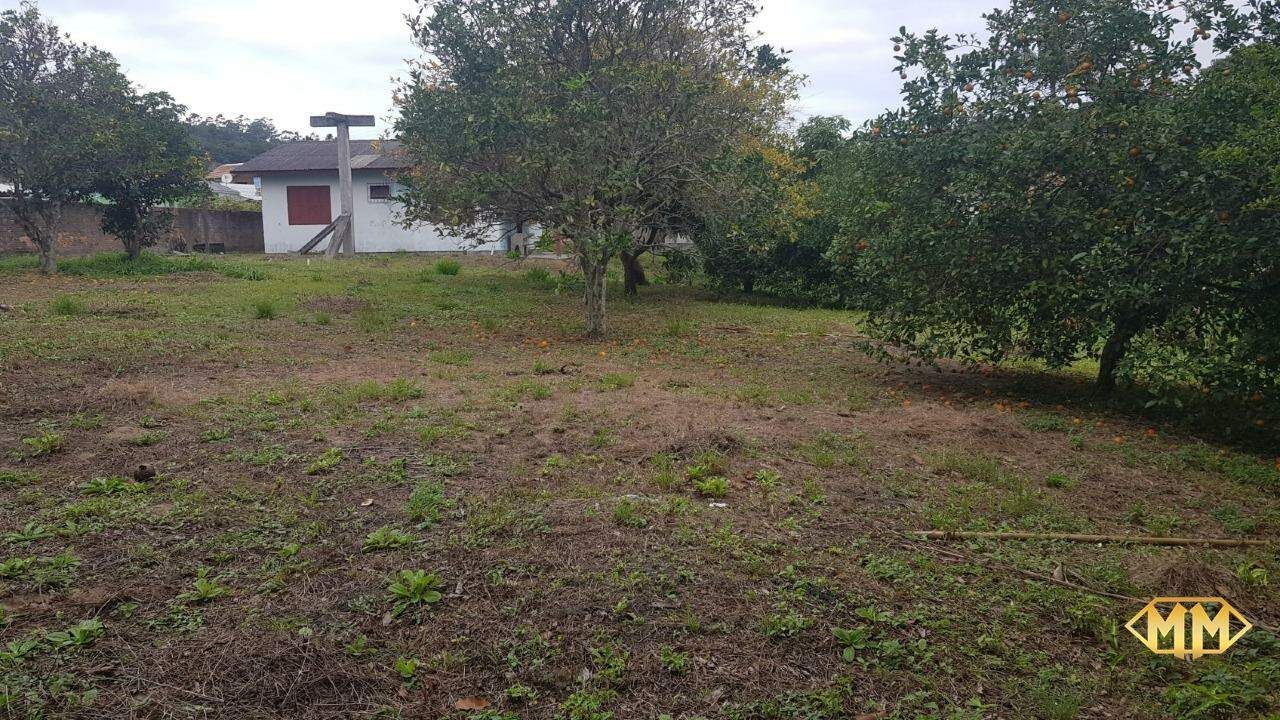 Imóvel - foto 3