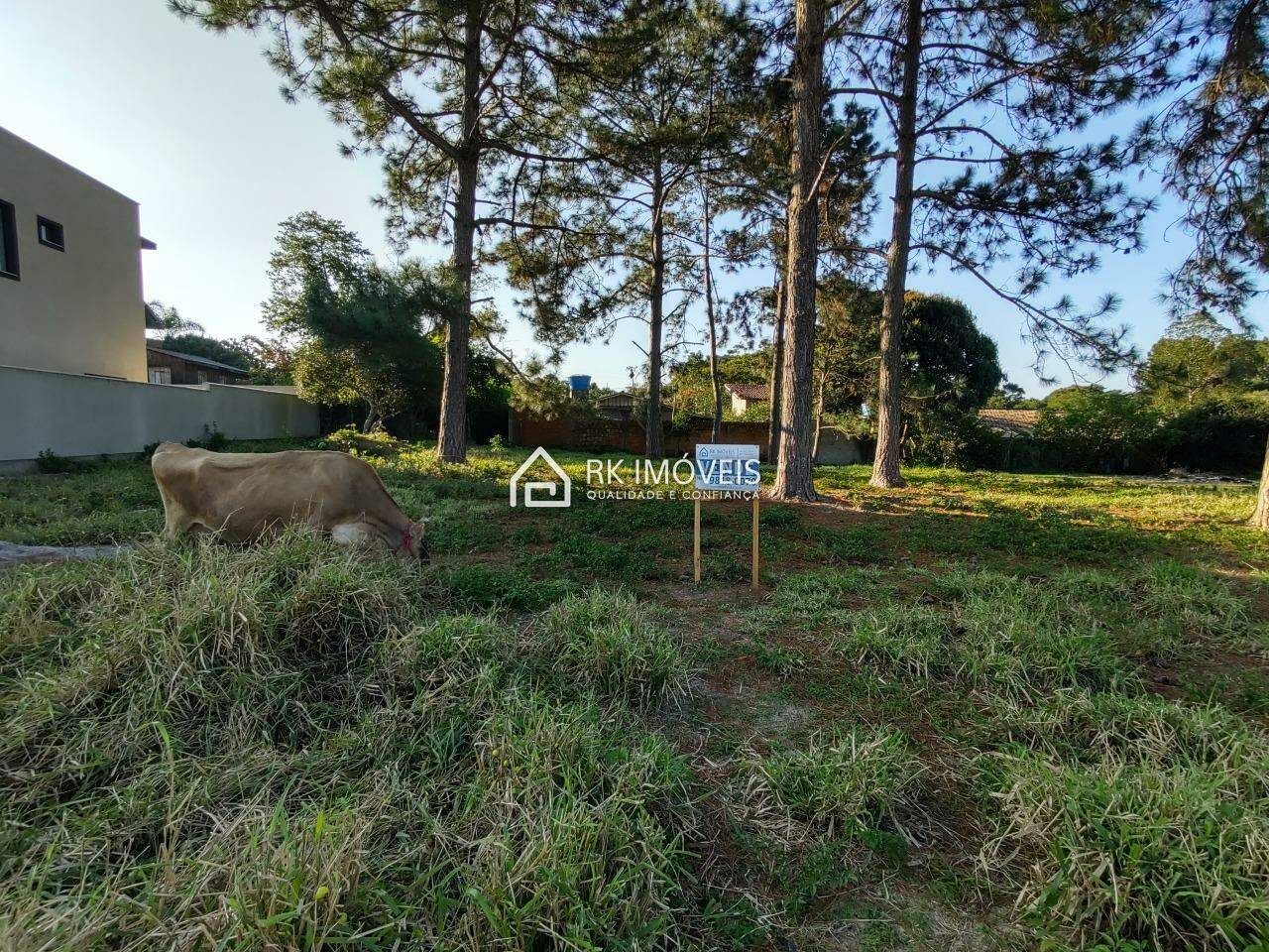 apartamento - foto 4