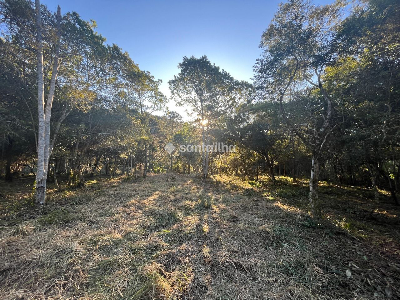 Imóvel - foto 3