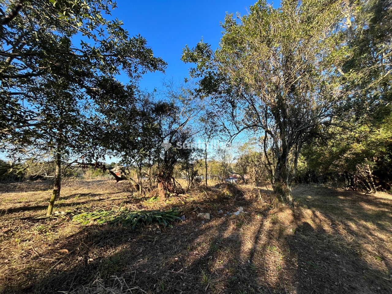 Imóvel - foto 4